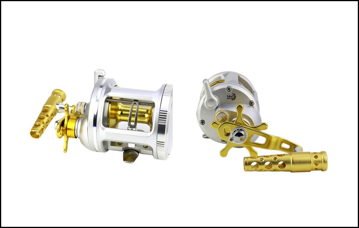 Conventional Fishing Reels