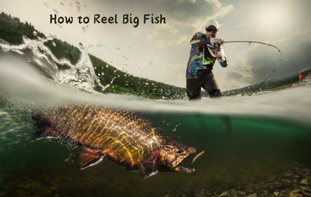 How to Reel Big Fish