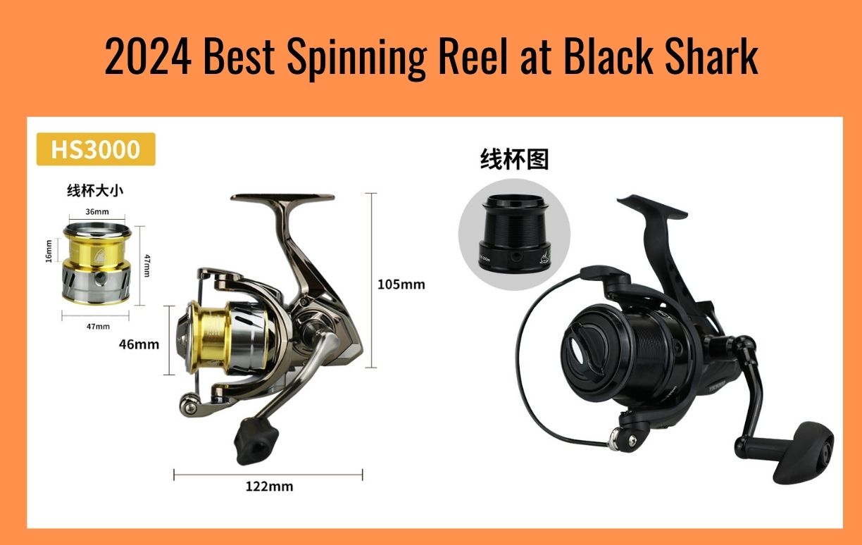 2024 best spinning reels 2024 best spinning reels